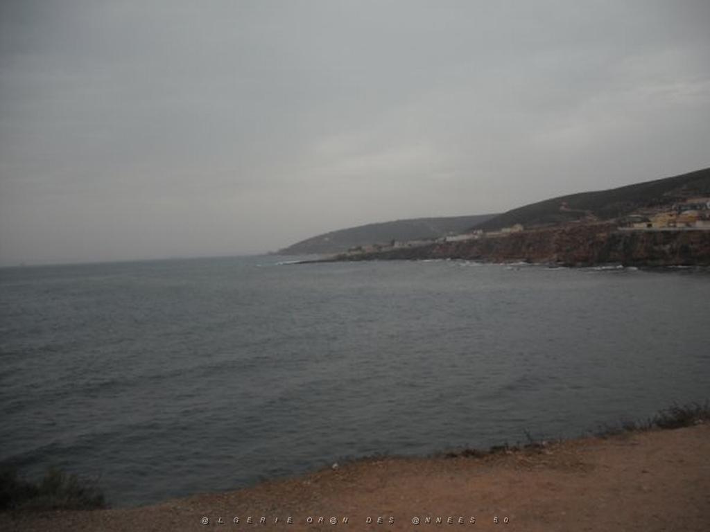 DSCF1027.jpg