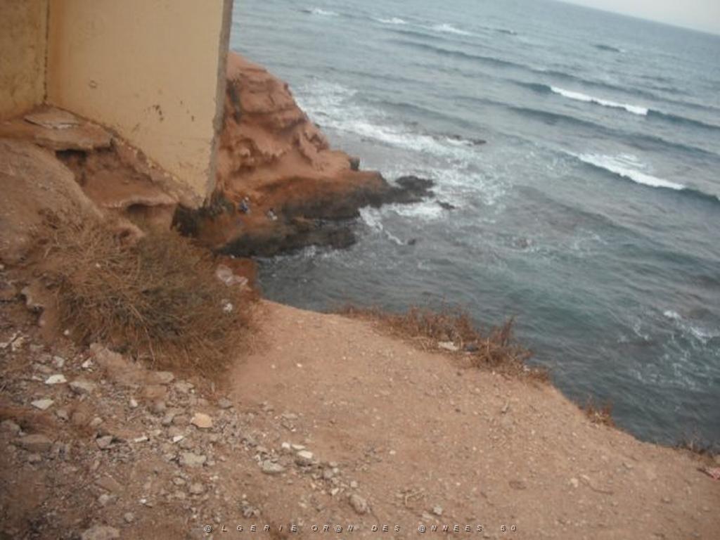 DSCF1029.jpg