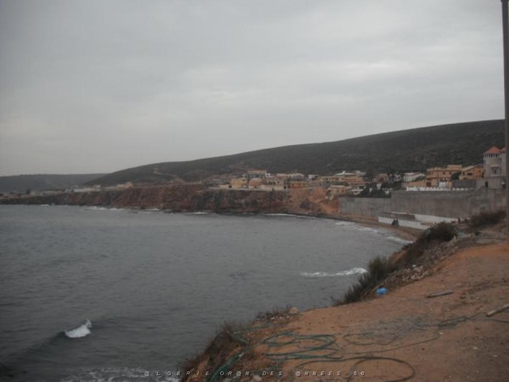DSCF1031.jpg