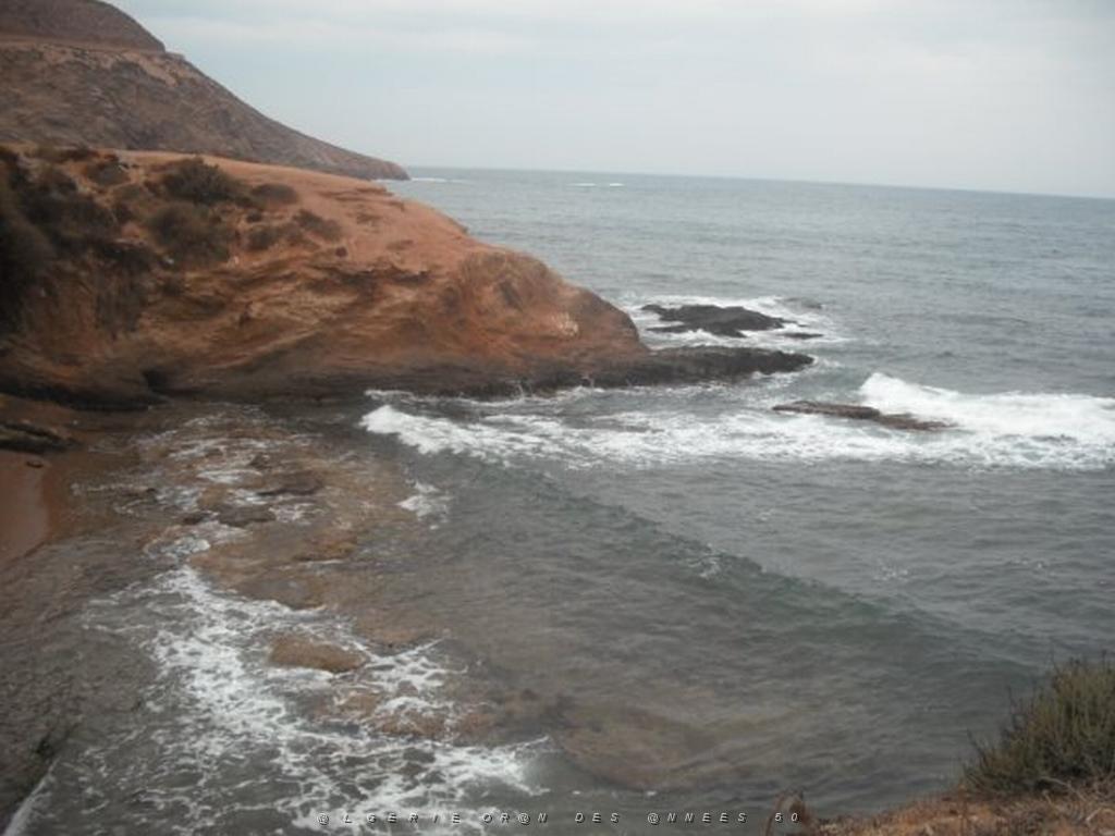 DSCF1039.jpg