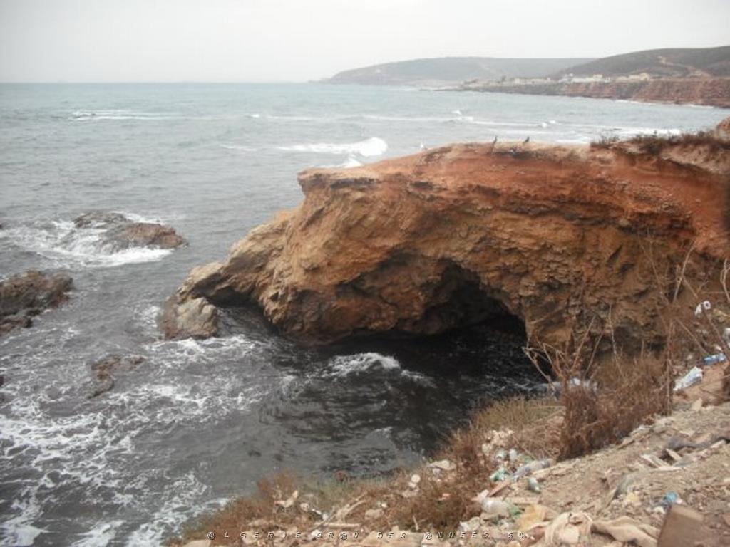 DSCF1041.jpg
