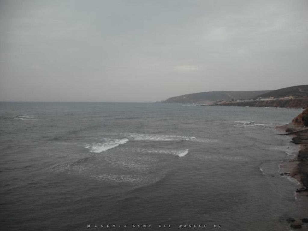 DSCF1048.jpg