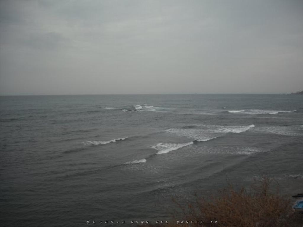 DSCF1051.jpg