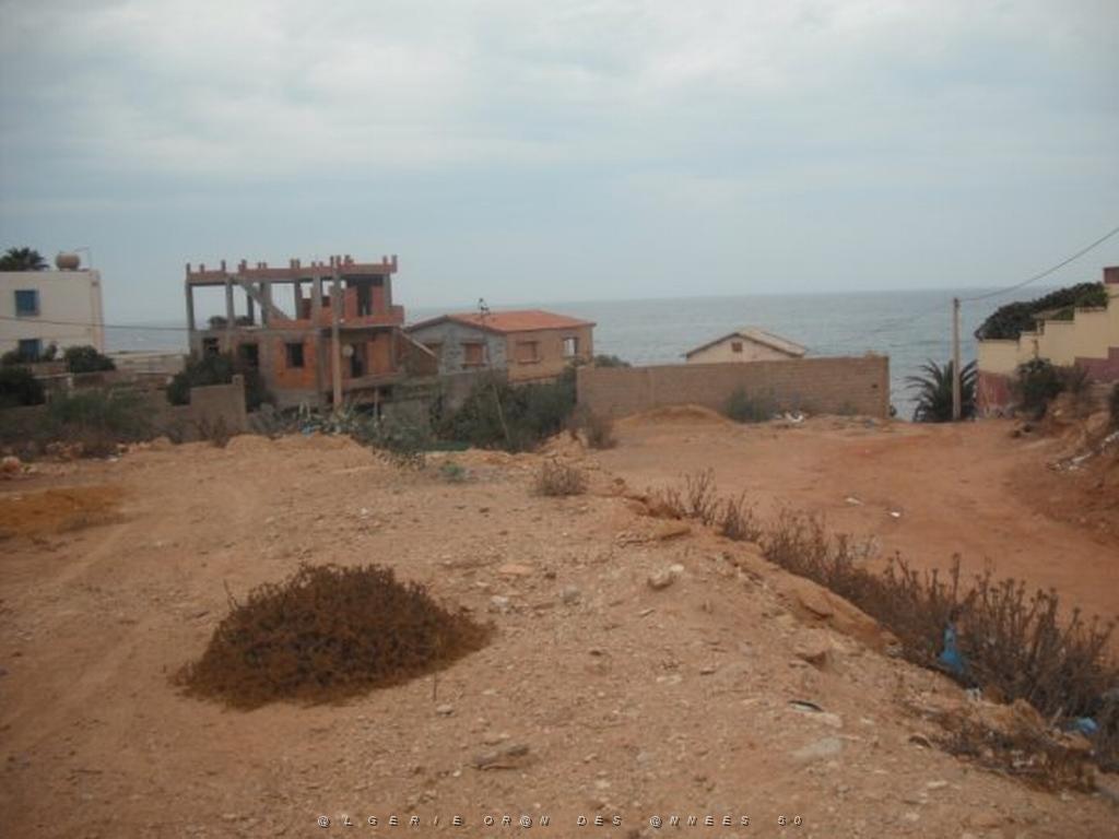 DSCF1067.jpg
