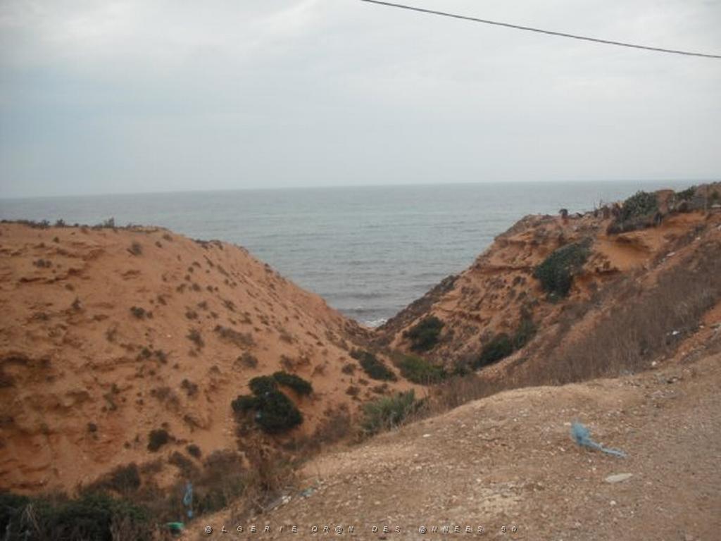 DSCF1087.jpg