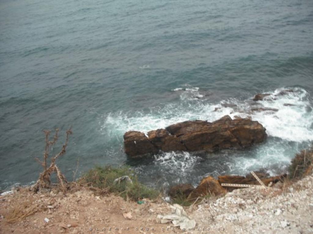DSCF1093.jpg