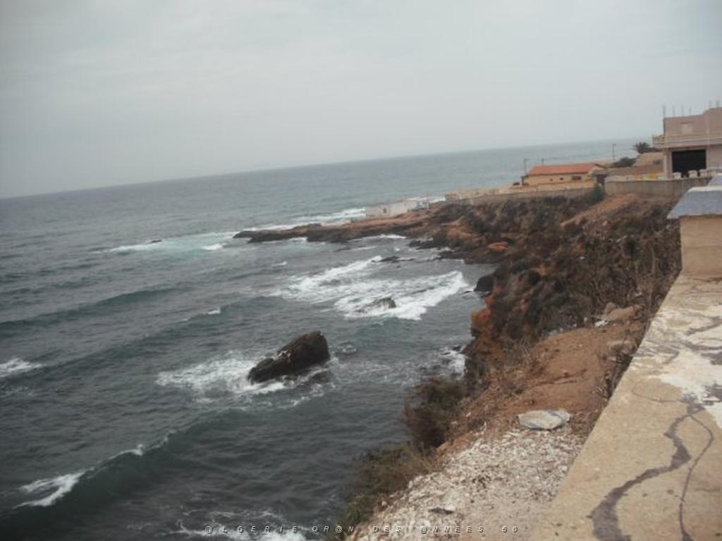 DSCF1094.jpg