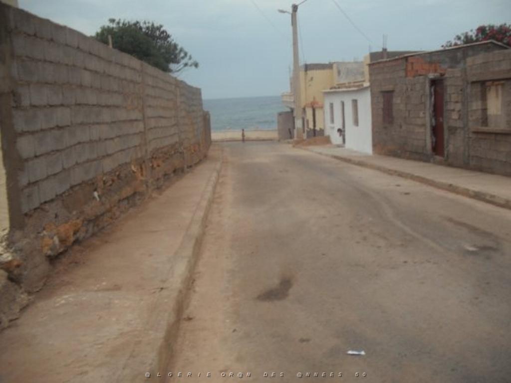 DSCF1099.jpg