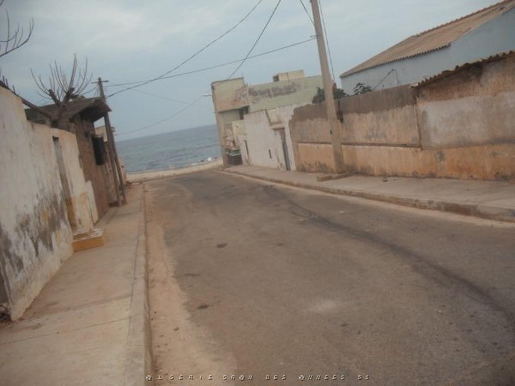 DSCF1100.jpg