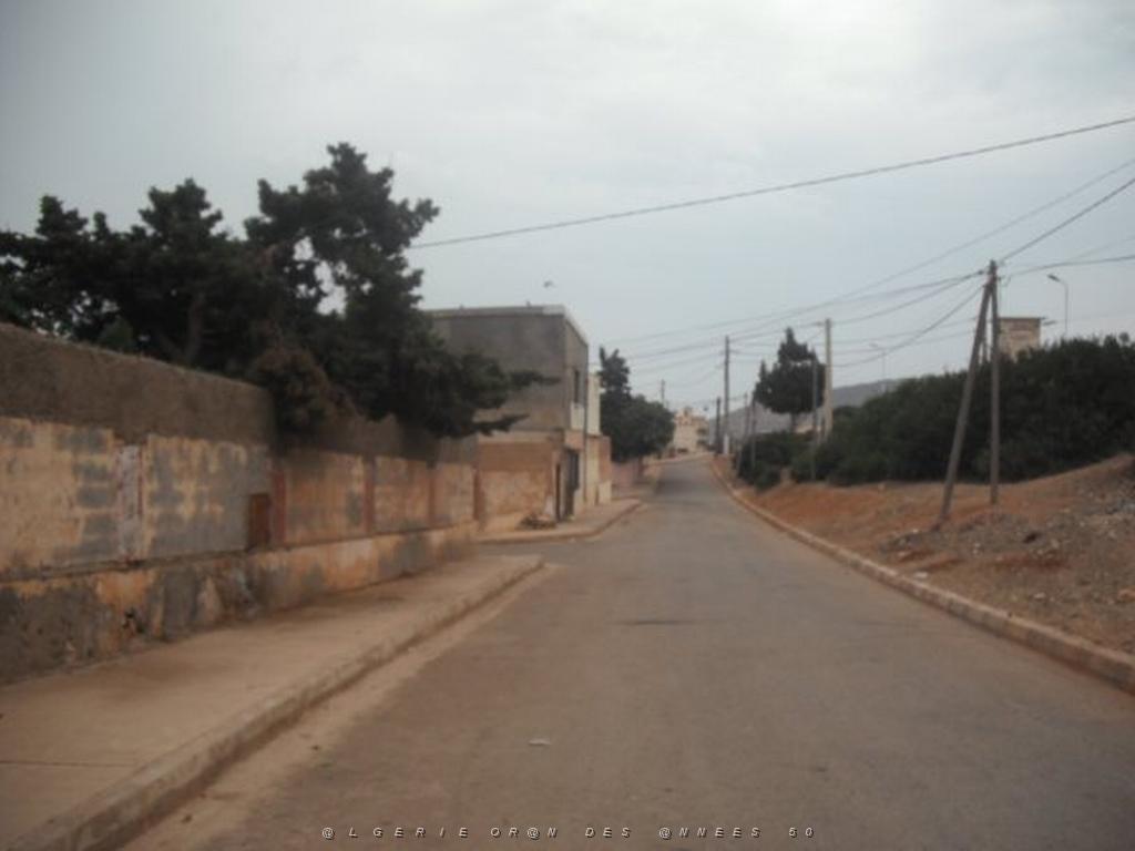 DSCF1101.jpg