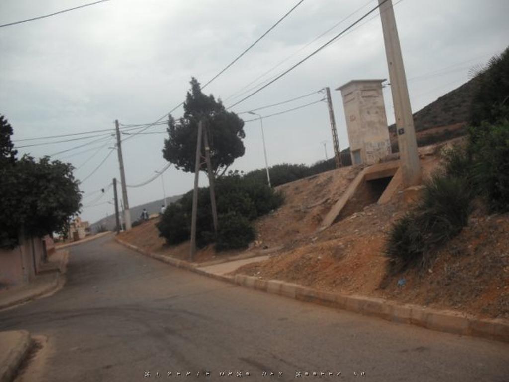 DSCF1103.jpg