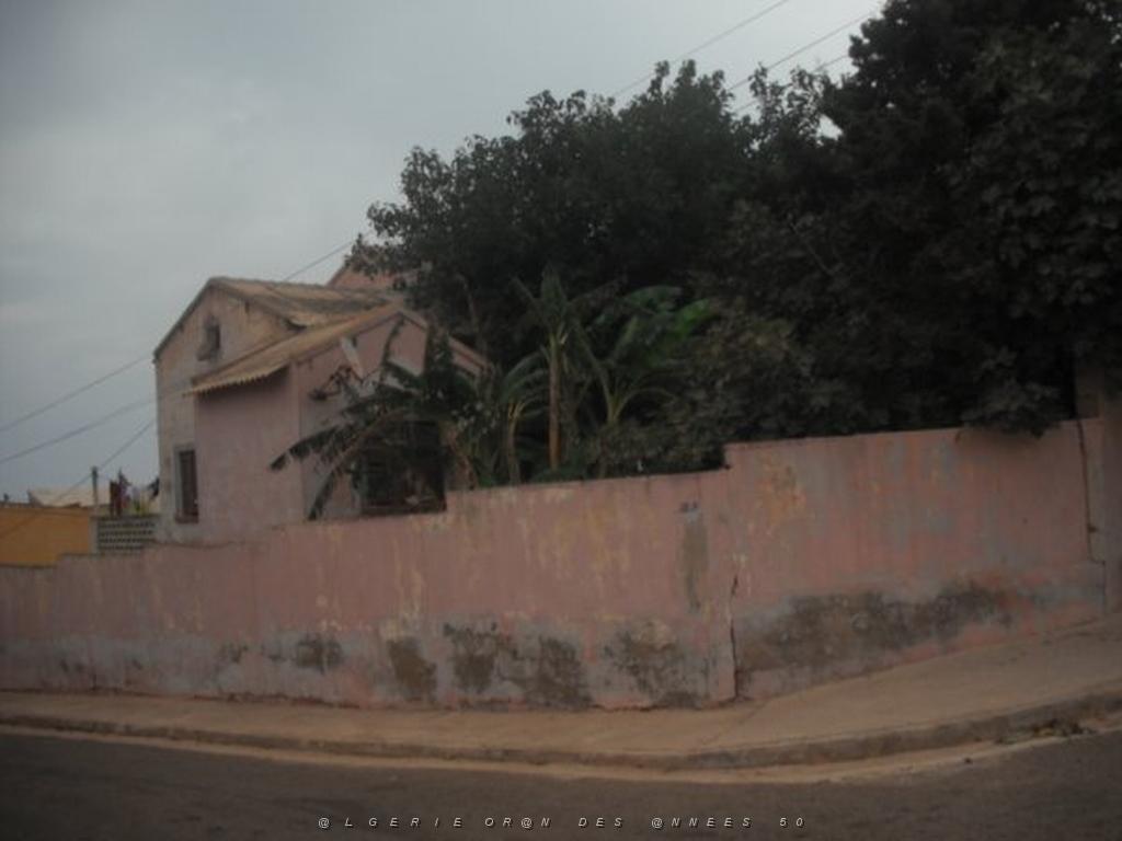 DSCF1104.jpg