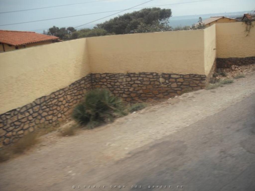 DSCF1138.jpg