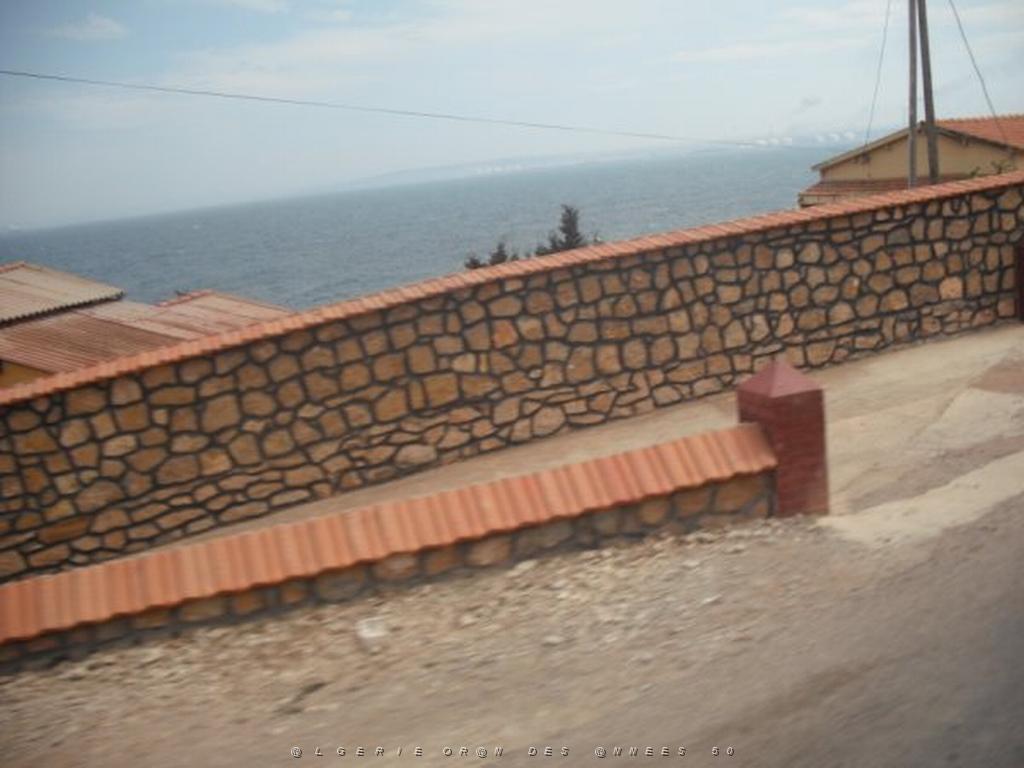 DSCF1139.jpg