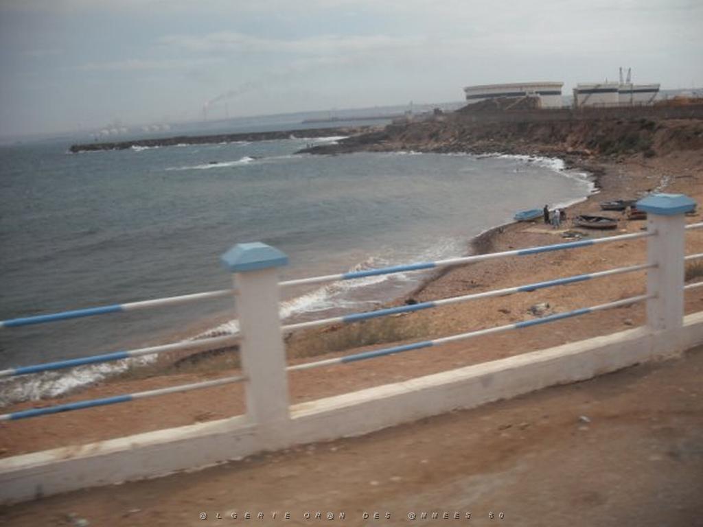 DSCF1151.jpg
