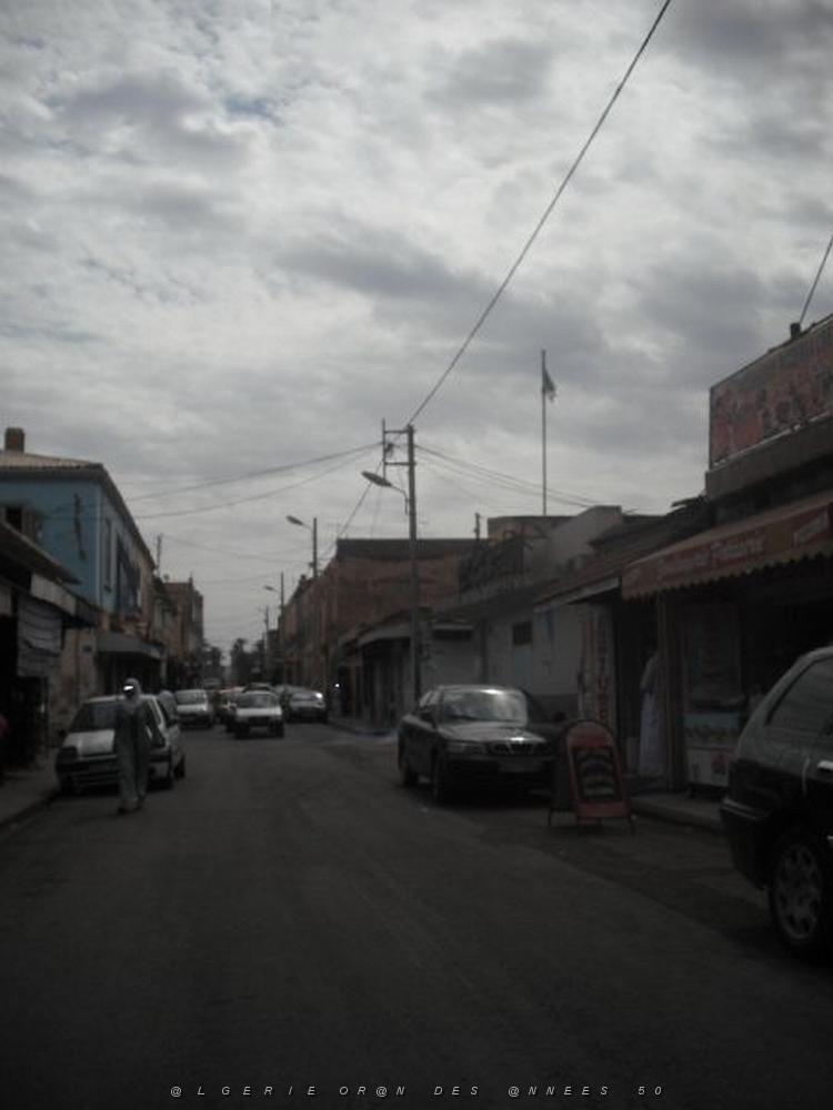 DSCF1153.jpg