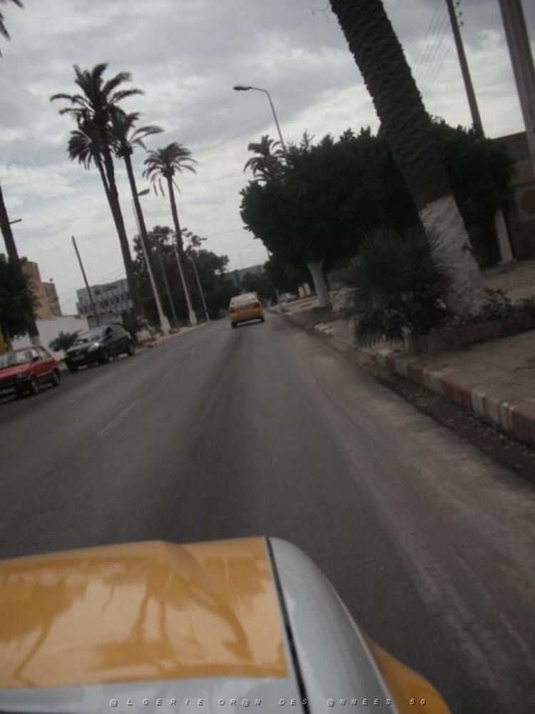 DSCF1158.jpg