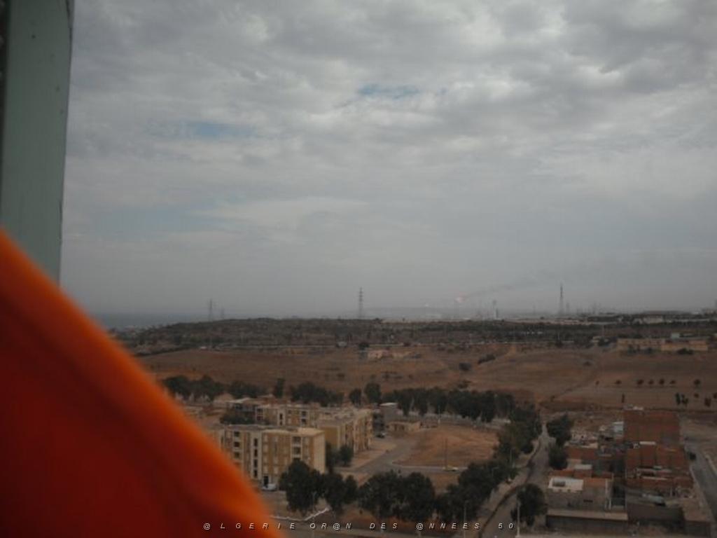 DSCF1167.jpg