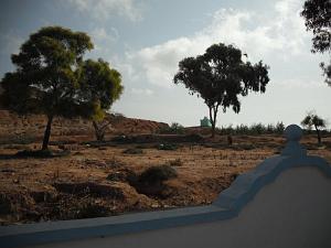 DSCF0055