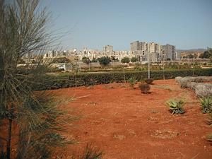 DSCF0066