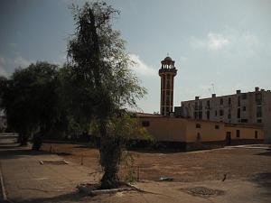 DSCF0091