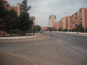 DSCF0875