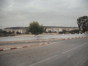 DSCF0904