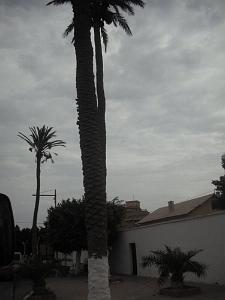 DSCF0906