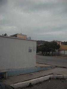 DSCF0920