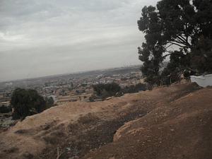 DSCF0953
