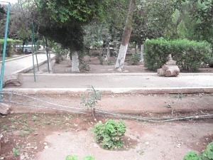 DSCF0973