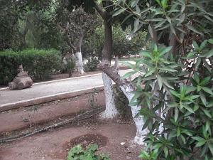 DSCF0974