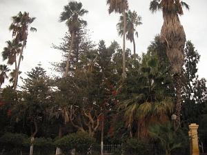 DSCF0982