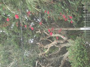 DSCF0984