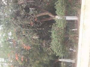 DSCF0985