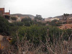 DSCF1035