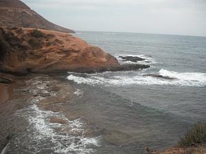 DSCF1039