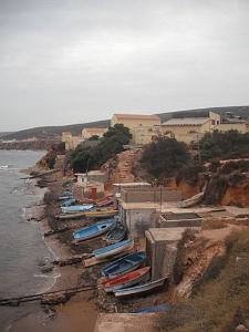 DSCF1049