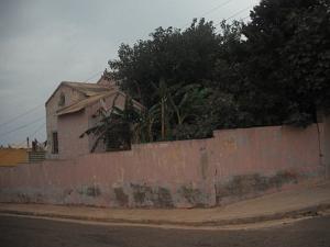 DSCF1104
