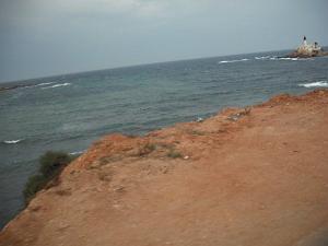 DSCF1131