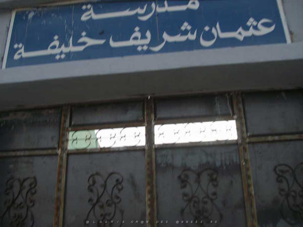 IMGP4104.jpg