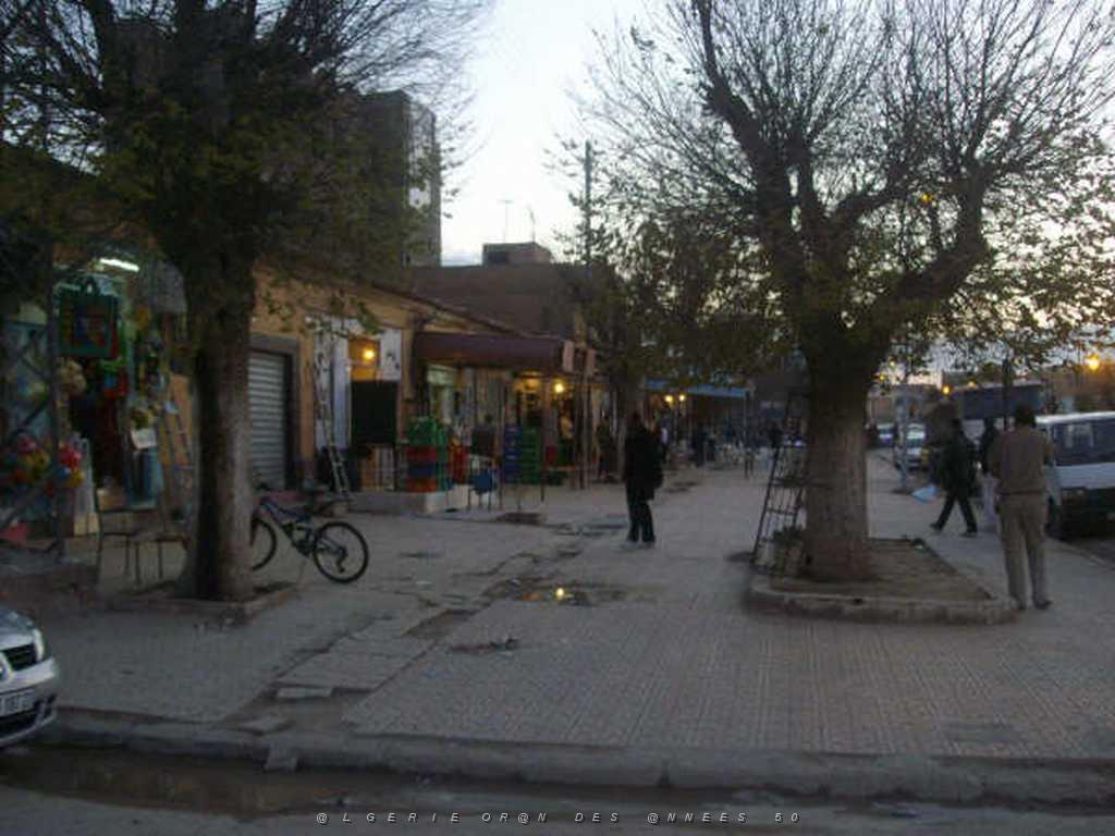 IMGP4114.jpg