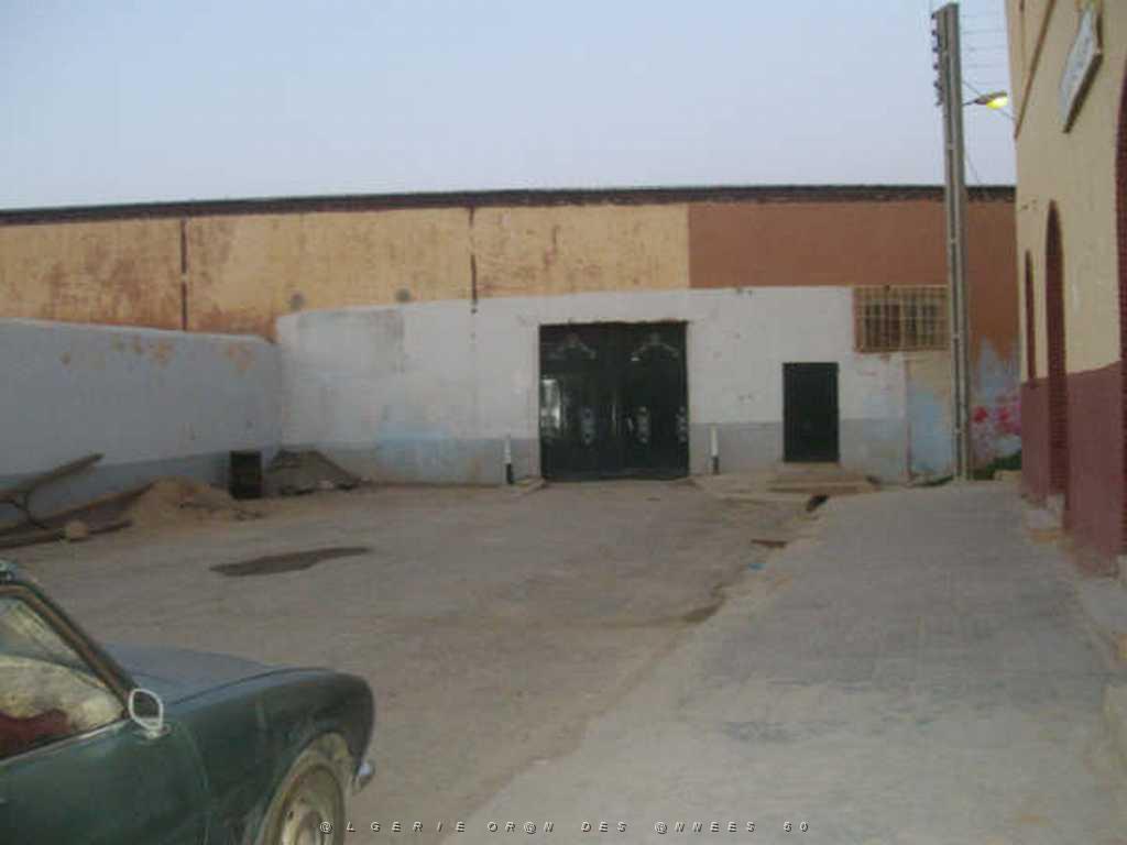 IMGP4119.jpg