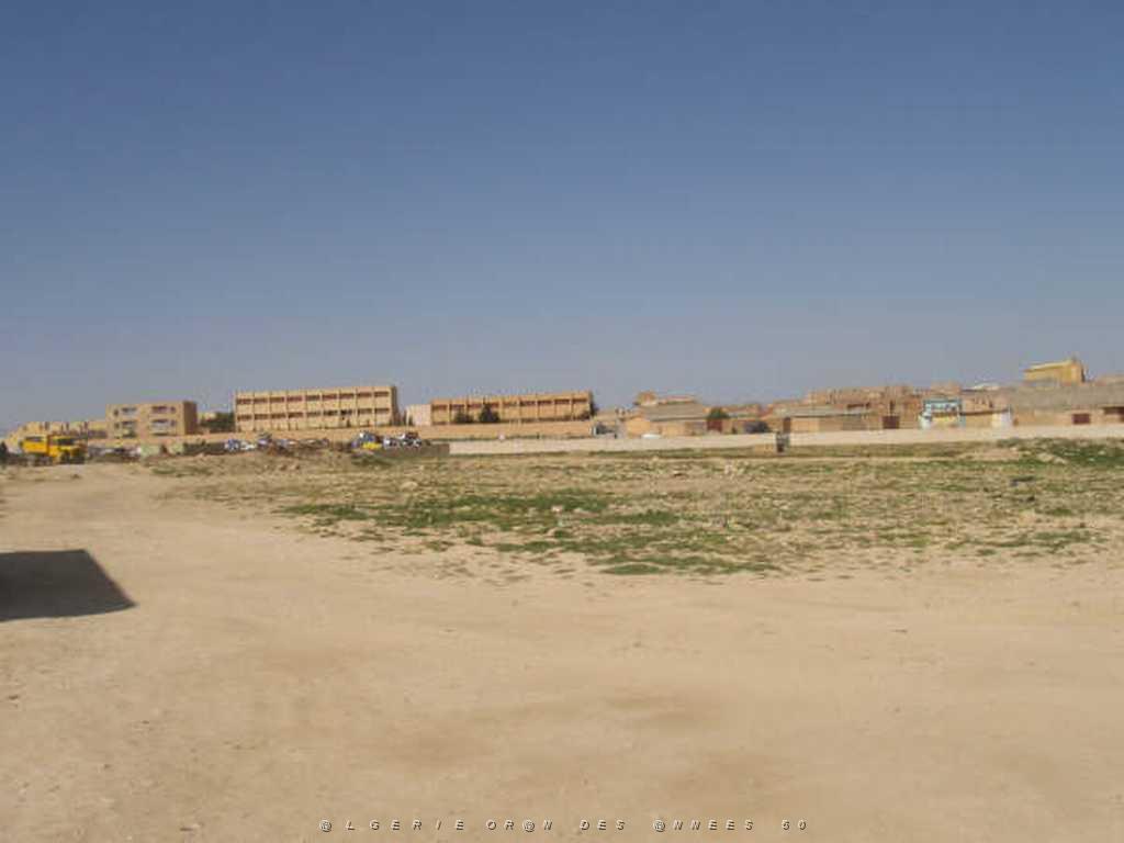 IMGP4149.jpg