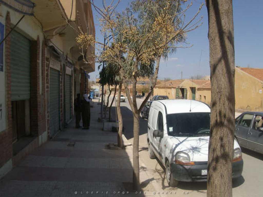 IMGP4191.jpg