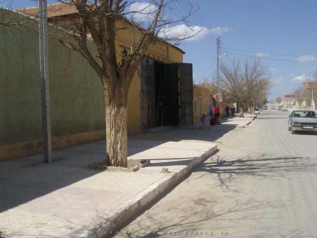 IMGP4227.jpg