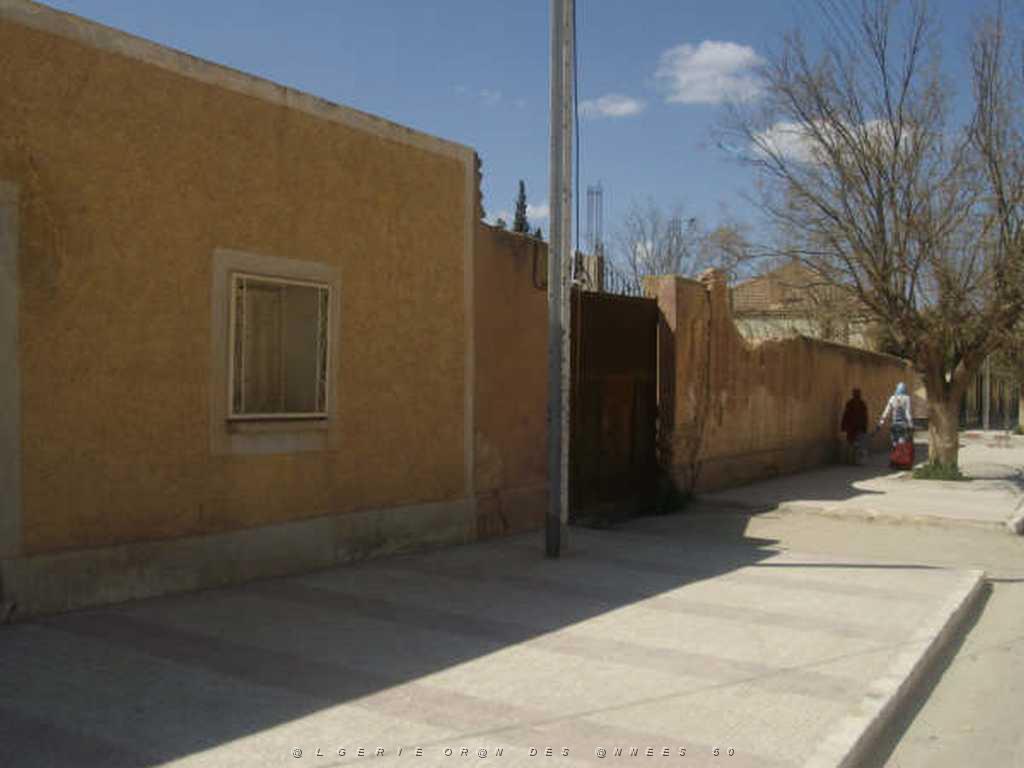 IMGP4229.jpg