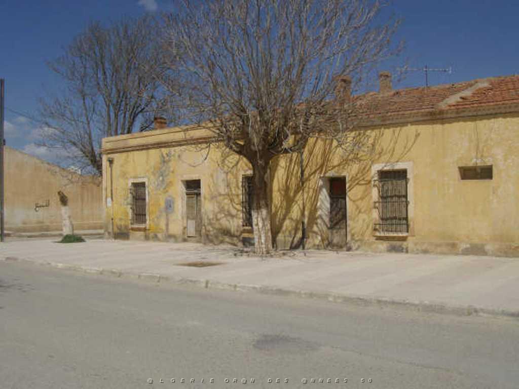 IMGP4230.jpg