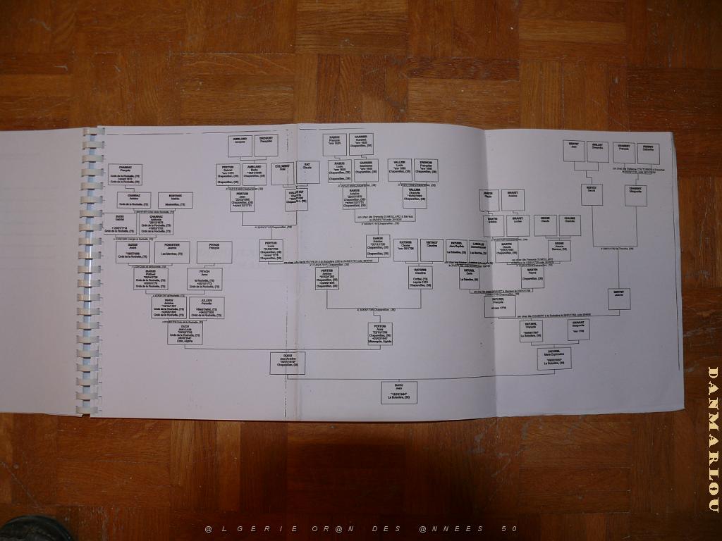 a0020a.jPG