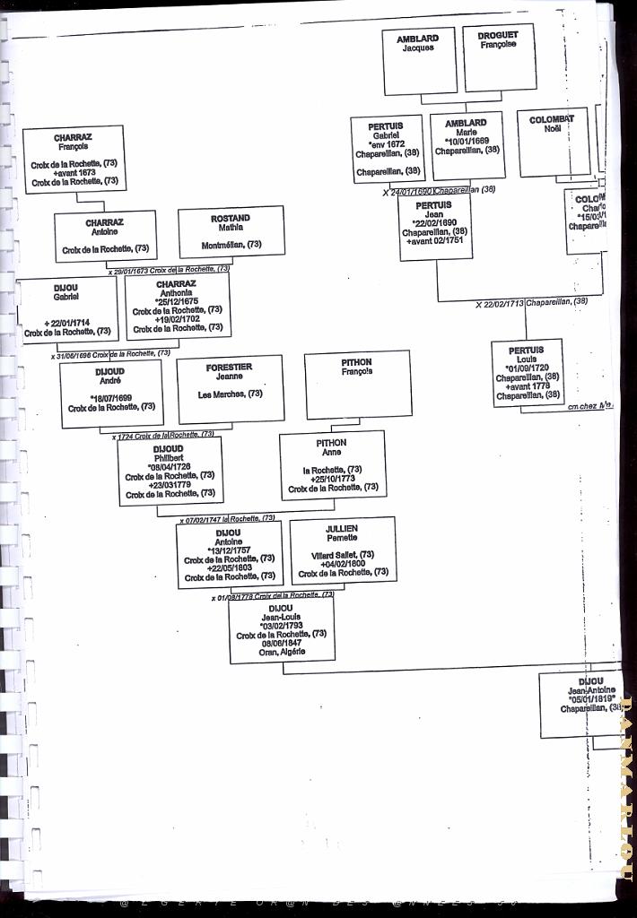 a0021a.jpg